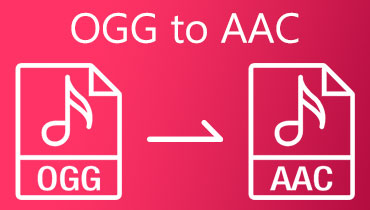 OGG'den AAC S'ye dönüştürücü