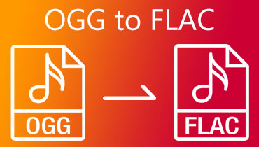 OGG'den FLAC S'ye dönüştürücü