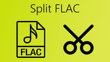 פיצול FLAC S