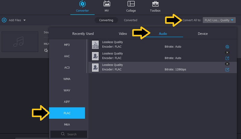 Vidmore Scegli il formato di output