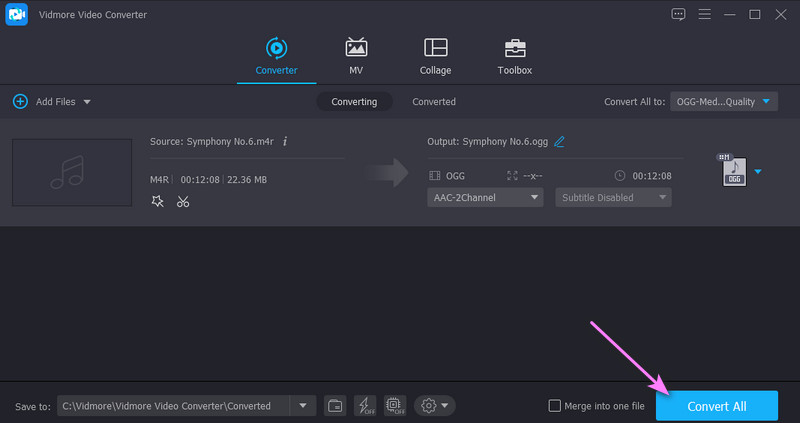 Vidmore Initialize Conversion