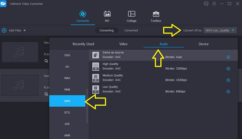 Vidmore Pilih Format Output Audio