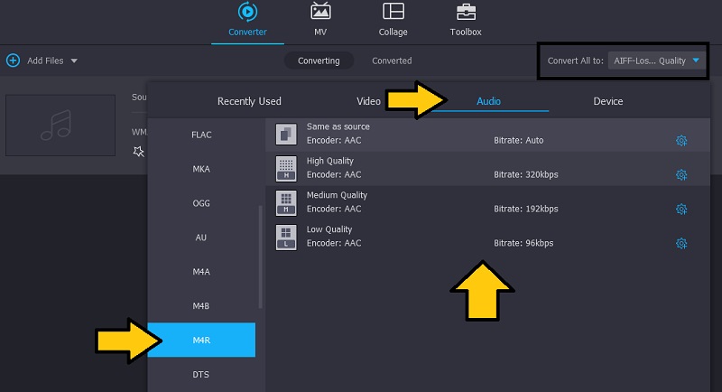 Vidmore Seleziona il formato di output M4R