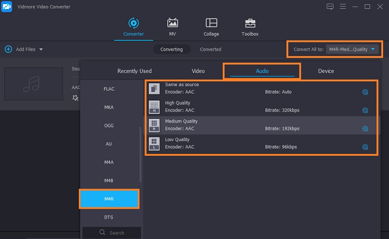 Vidmore Valitse Output Audio