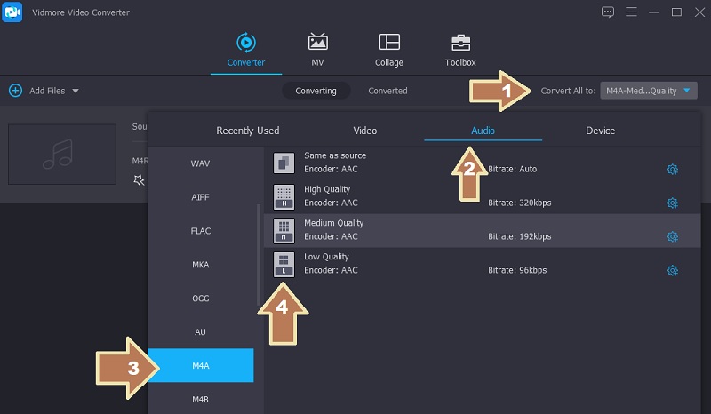 Vidmore Pilih Fail Output