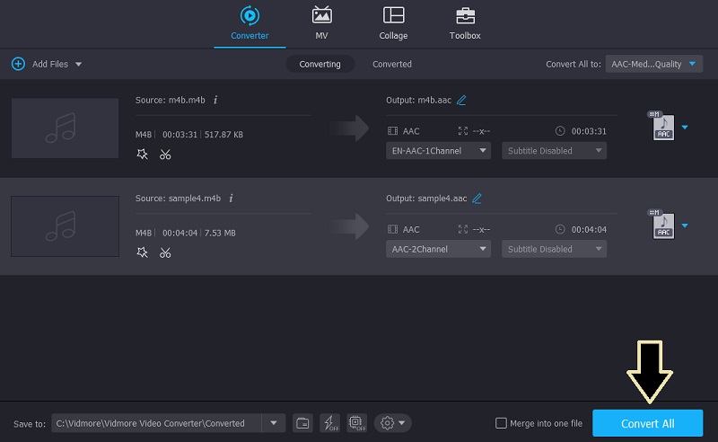 Vidmore VC convierte M4B a AAC