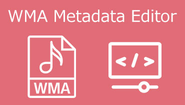 محرر البيانات الوصفية WMA