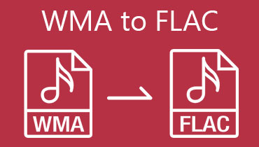 WMA'den FLAC'ye dönüştürücü