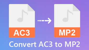 AC3 - MP2