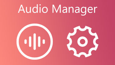 Manager audio