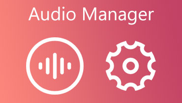 Audio Manager