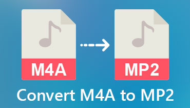 M4A'dan MP2'ye