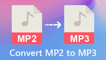 MP2 To MP3