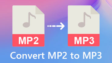 MP2 转 MP3