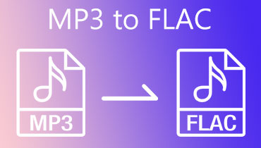 MP3 în FLAC