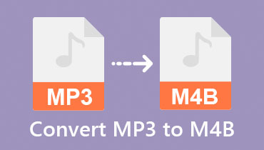 MP3 ל-M4B