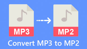 MP3 do MP2