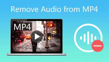 Remove Audio From MP4
