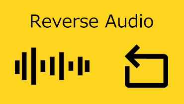 Audio invers