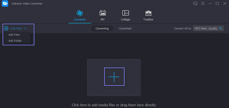 Vidmore Add MP3 Files