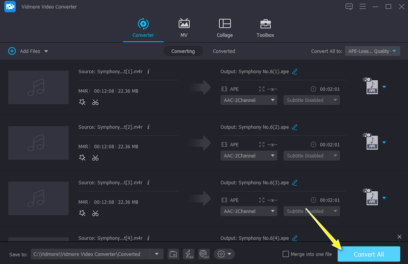 Vidmore Dışa Aktarma Çıktı Dosyası