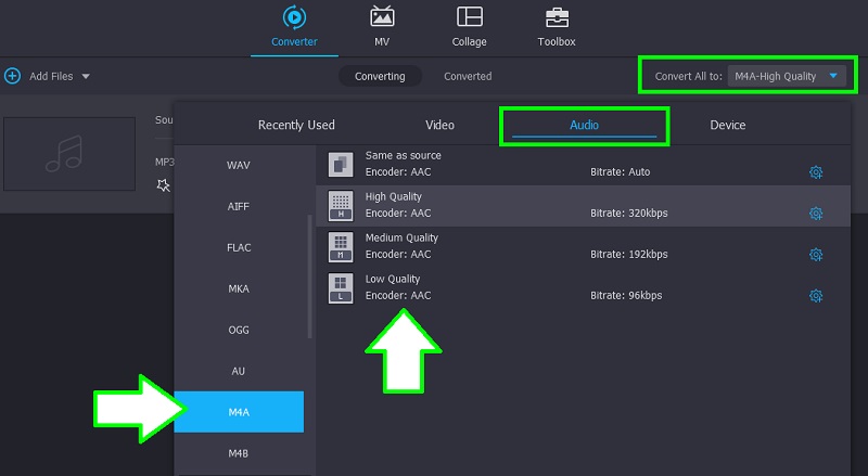 Vidmore Ses Formatını Seçin