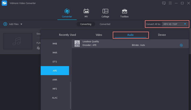 Vidmore Seleziona il formato di output