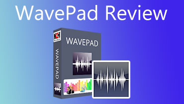 Wavepad recenzija