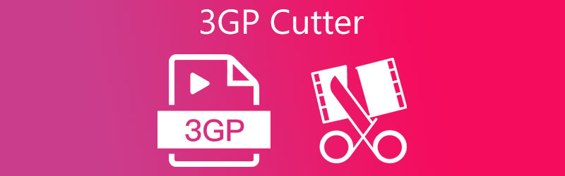 3GP Cutter