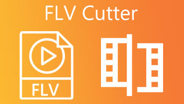Flv Cutter