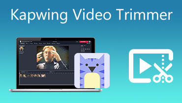 Kapwing video trimer