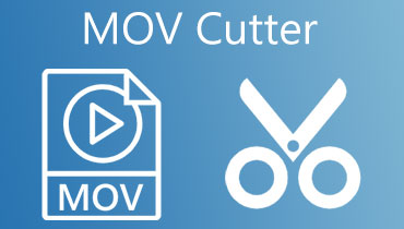 MOV Cutter
