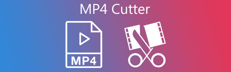 Cutter MP4