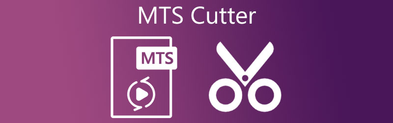 Máy cắt MTS