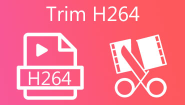 Trimma H264