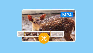 Recortar MP4