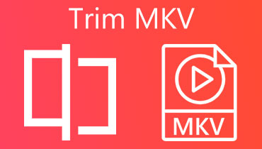 Trimma MKV