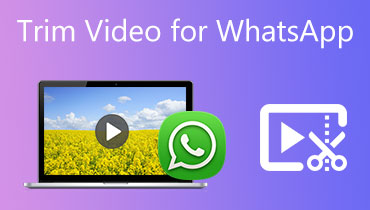 Video bijsnijden voor WhatsApp