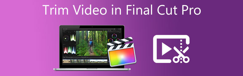 在 Final Cut Pro 中修剪视频