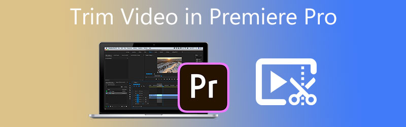 Decupați videoclipul în Premiere Pro