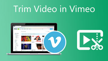 在 Vimeo 中修剪视频