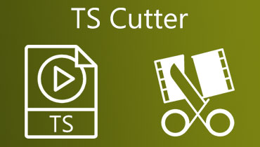 TS Cutter