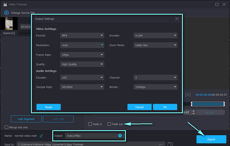 Vidmore Saves Output