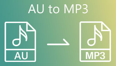 AU sang MP3