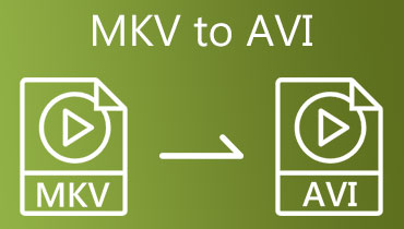 MKV إلى AVI