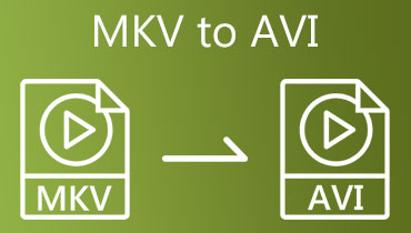 MKV 转 AVI