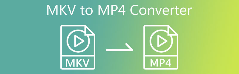 MKV naar MP4 Converter