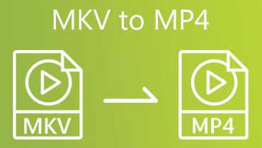 MP4 को MKV