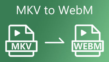 MKV'den WEBM'ye dönüştürücü