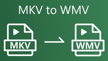 MKV إلى WMV